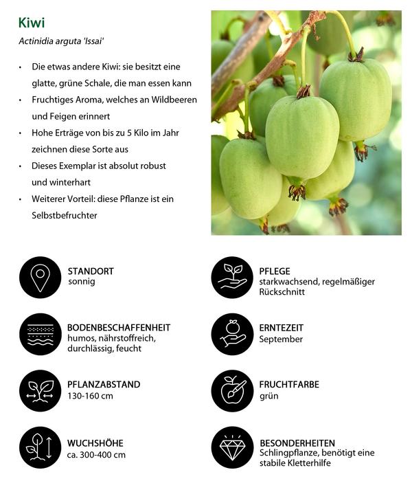 Bio Beeren-Kiwi-Set Powerobst, 4-teilig