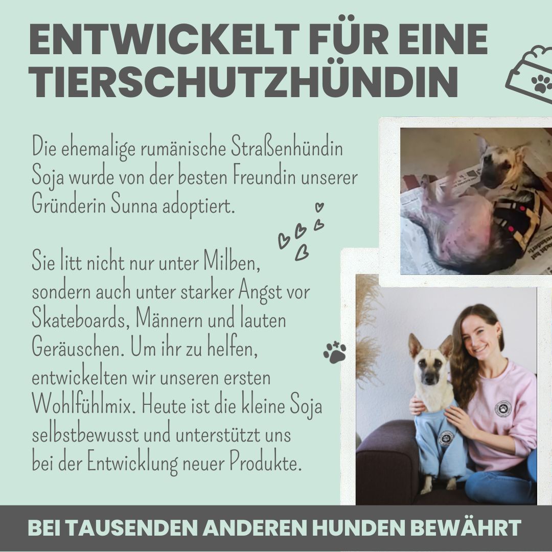 noms+ Wohlfühlsnacks für Hunde bei Stress, Angst, Unruhe & Hyperaktivität