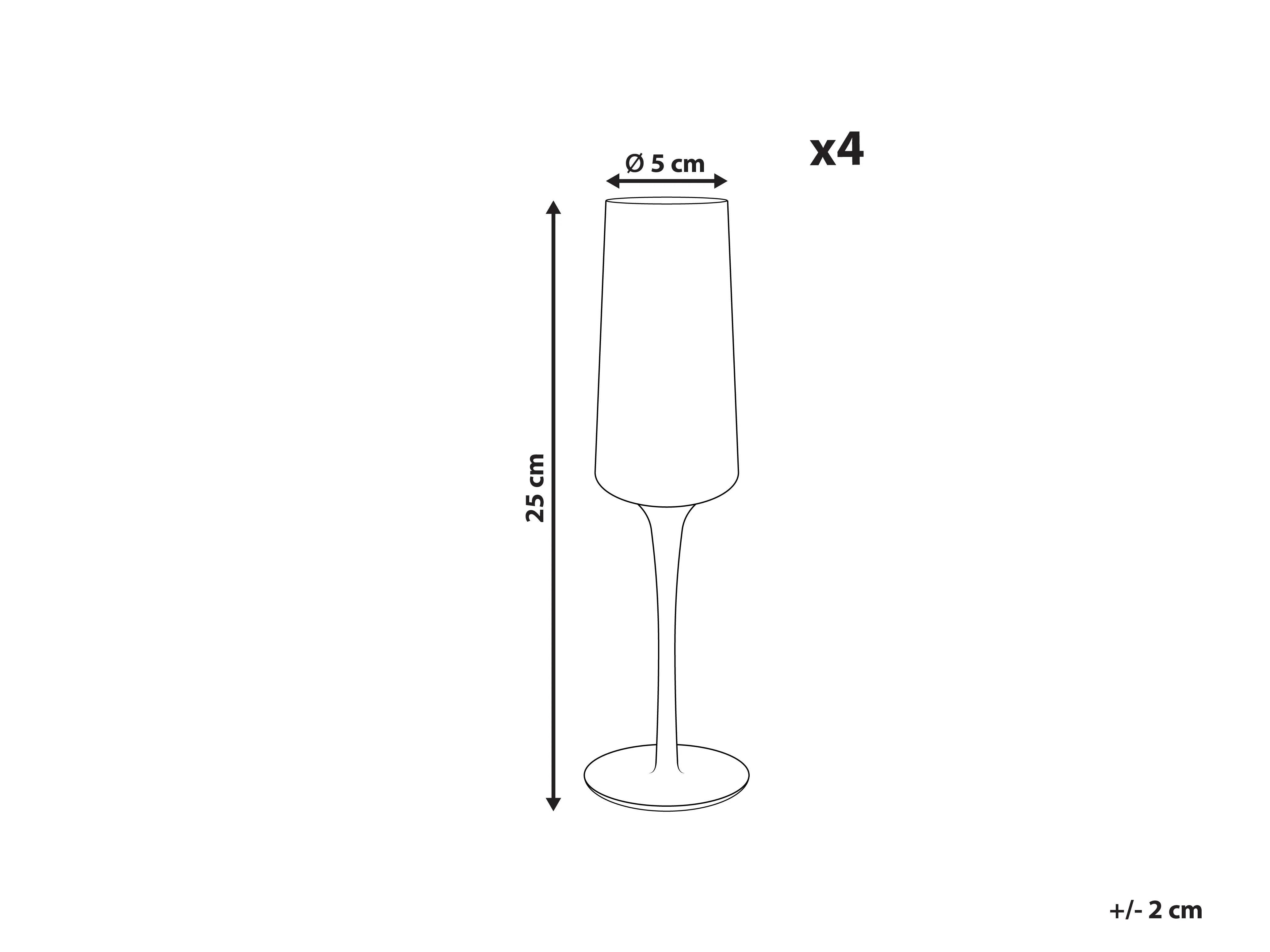 Set van 4 champagneglazen QUARTZ 230 ml Grijs