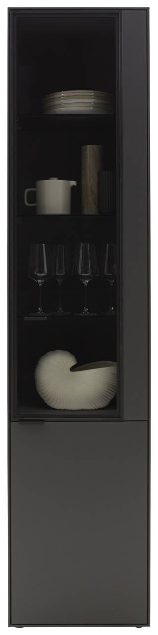 Dieter Knoll Vitrine RINA