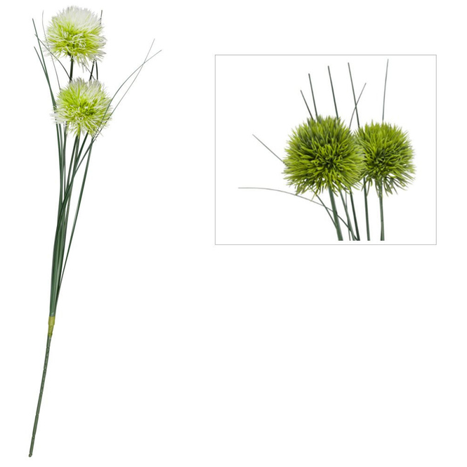 Allium - ca. 48 cm - 1 Stück