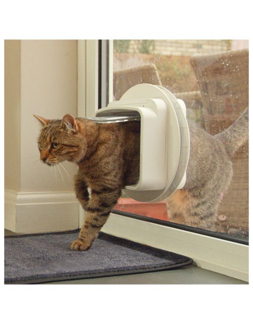 Sureflap Dierenluik Microchip Dualscan - Kattenluik - 20x20x7 cm Wit