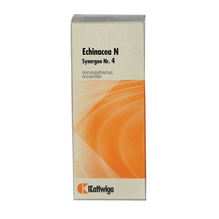 Synergon 4 Echinacea N Tropf, 50 ml