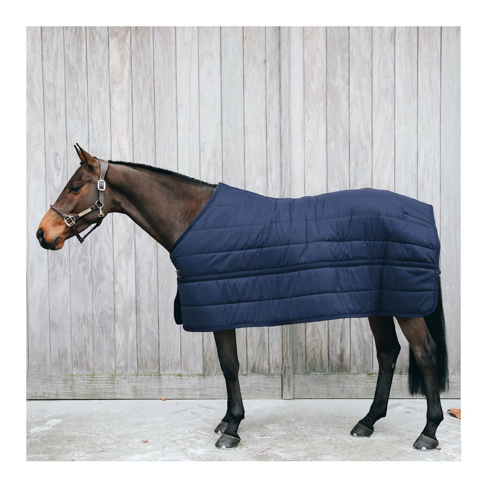 Kentucky SKIN FRIENDLY 150G - Sous-couverture navy