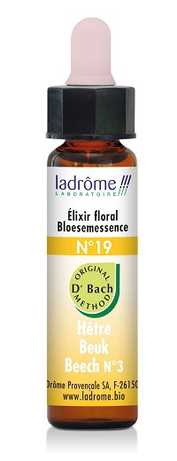 La Drome Beech / beuk 10ml