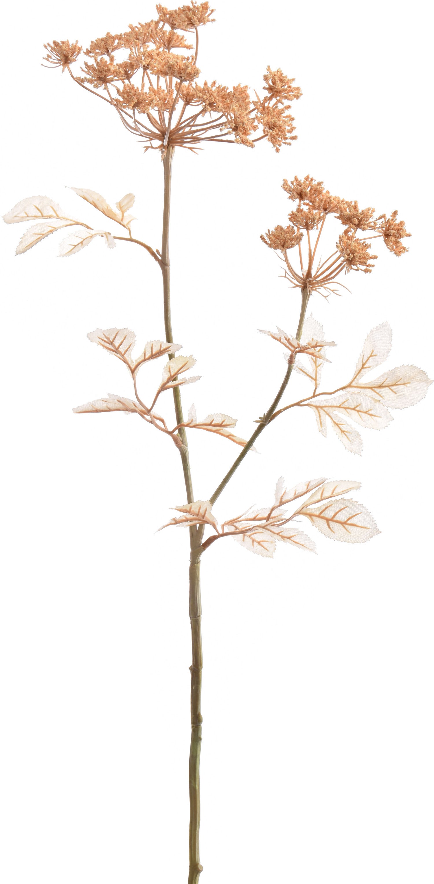 Jasaco kunstbloem Dille crème 75 cm