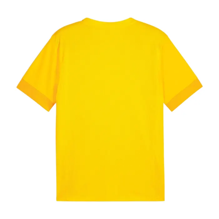 Puma TeamGOAL Matchday Shirt Heren