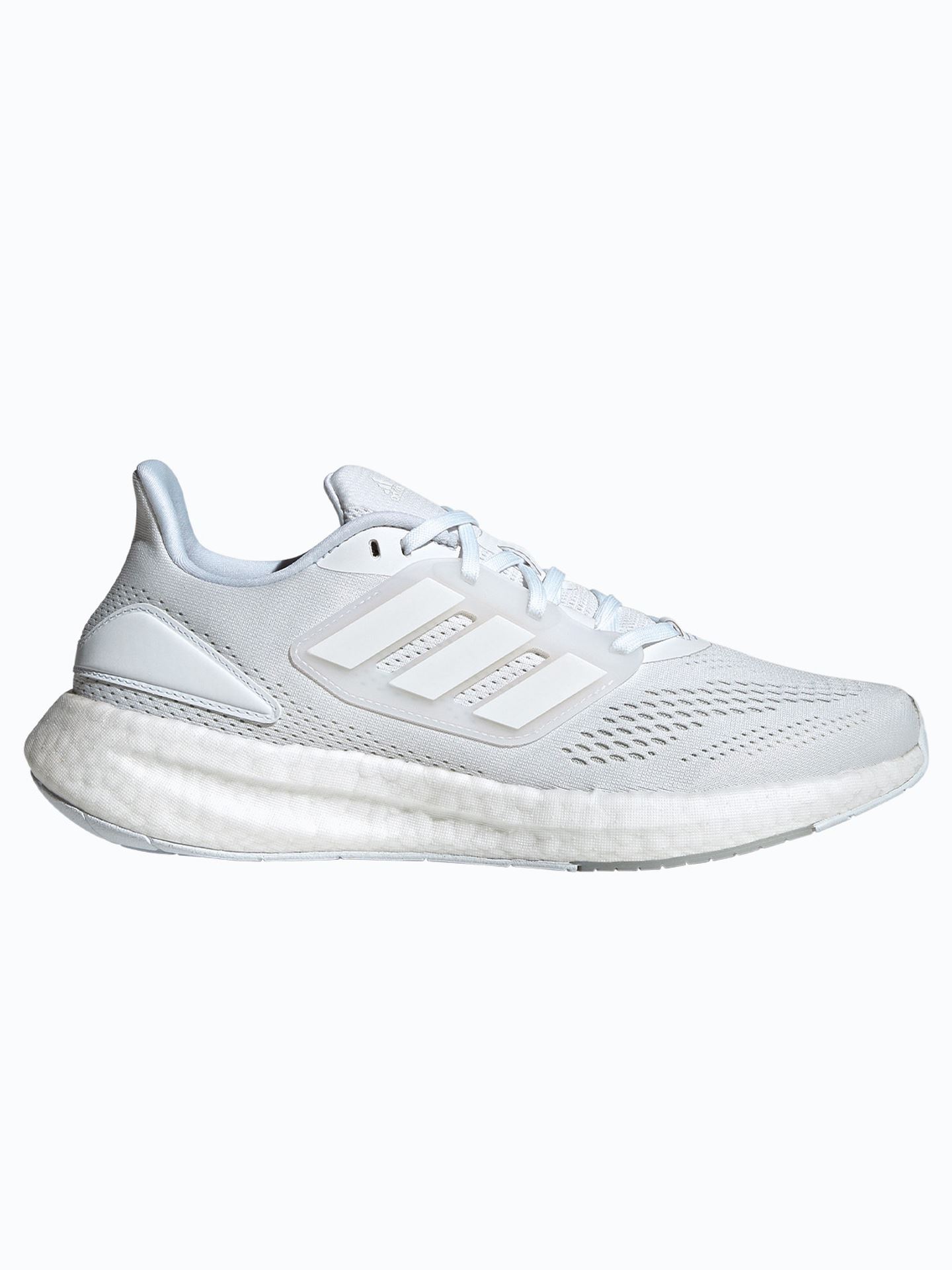 Pureboost 22
