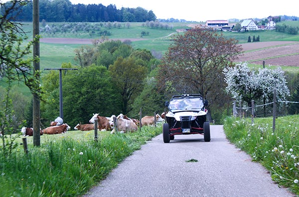 Buggy fahren in Meißenheim