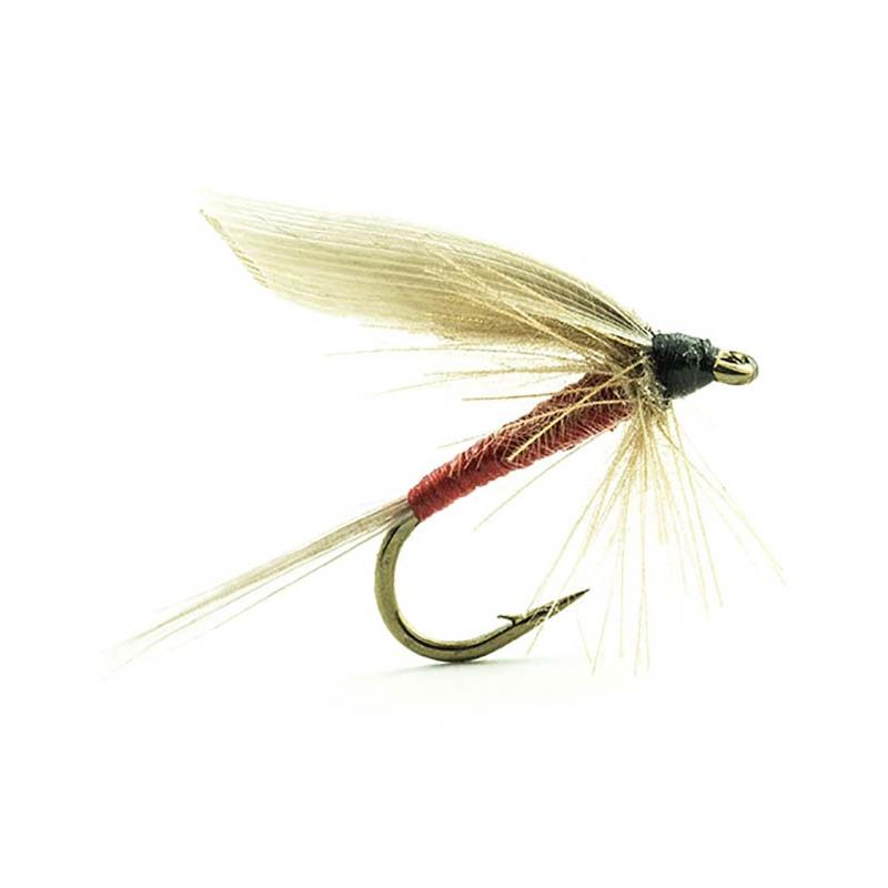 Mouche Devaux Ephemere Ornans 04 Bl