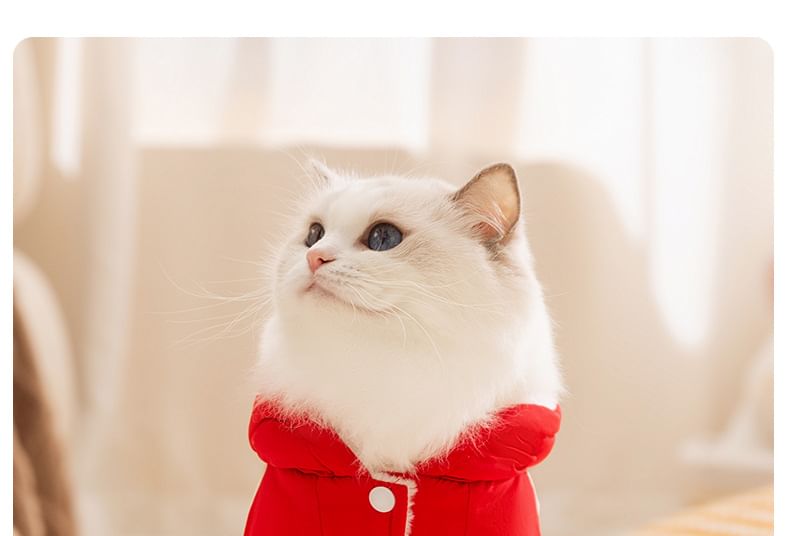 Cissilli - Letterapplicatie Pet Overall met capuchon