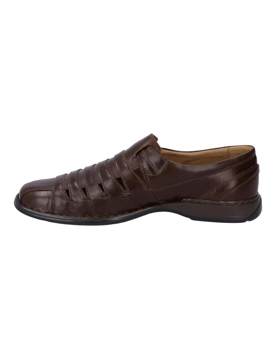 Slipper Steven, marone