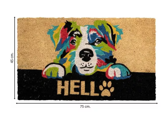 Tapis d'entrée en PVC imprimé blanc 45x75