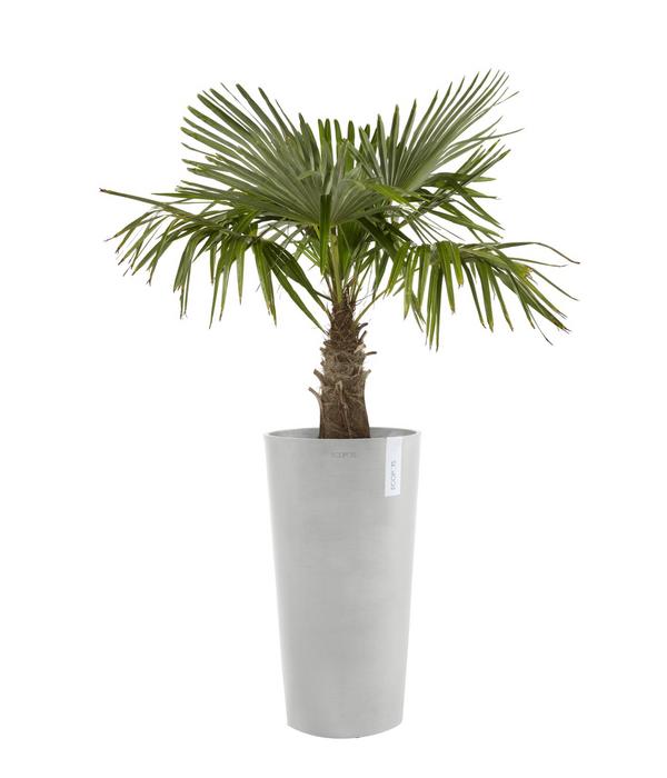 Ecopots Kunststoff-Topf Amsterdam hoch, rund