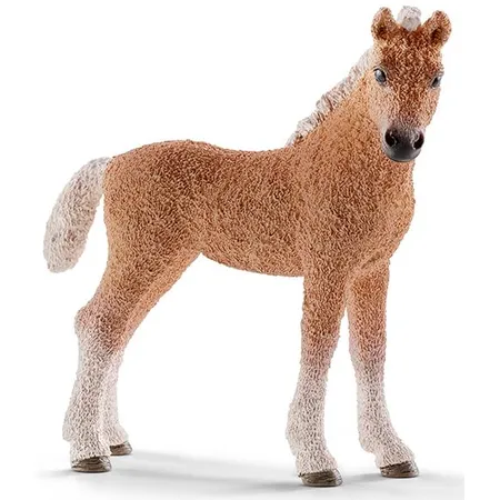 Schleich® 13781 Horse Club Bashkir Curly Fohlen