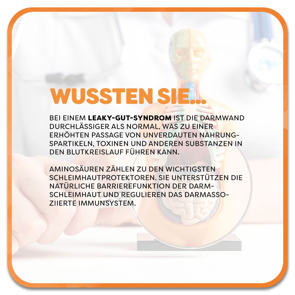Casa Sana MAXIAMIN - Aminosäuren, Zink und Biotin für die Darmschleimhaut