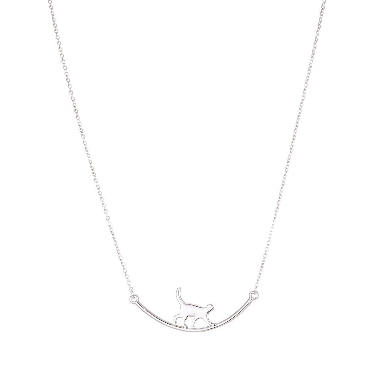 Collier Chat perché