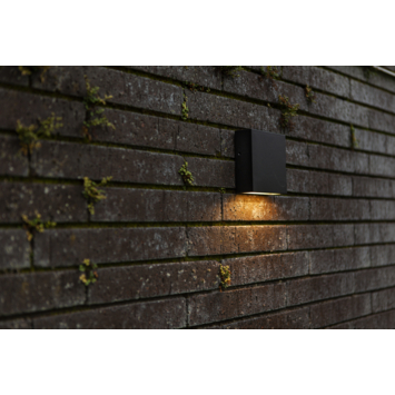 Lutec buitenlamp Gemini XF zwart