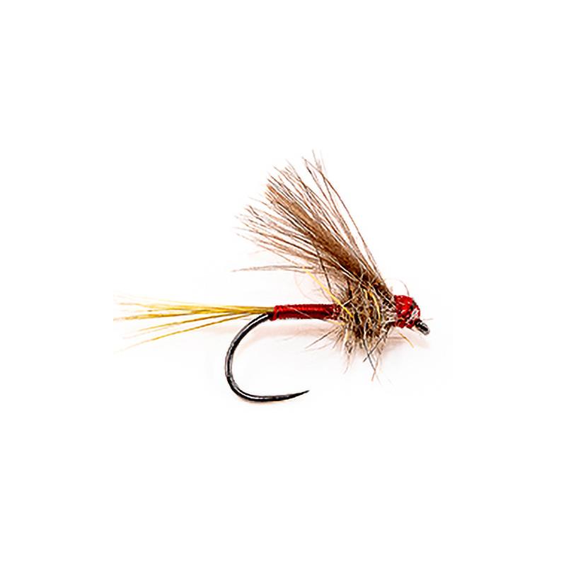 Mouche Devaux Emergente Ate 09-R
