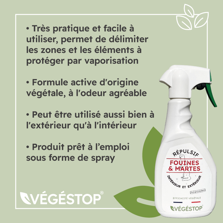 VEGESTOP Répulsif Fouines et Martes - 500 ml - Eloigne les petits nuisibles - Longue durée - Action rapide