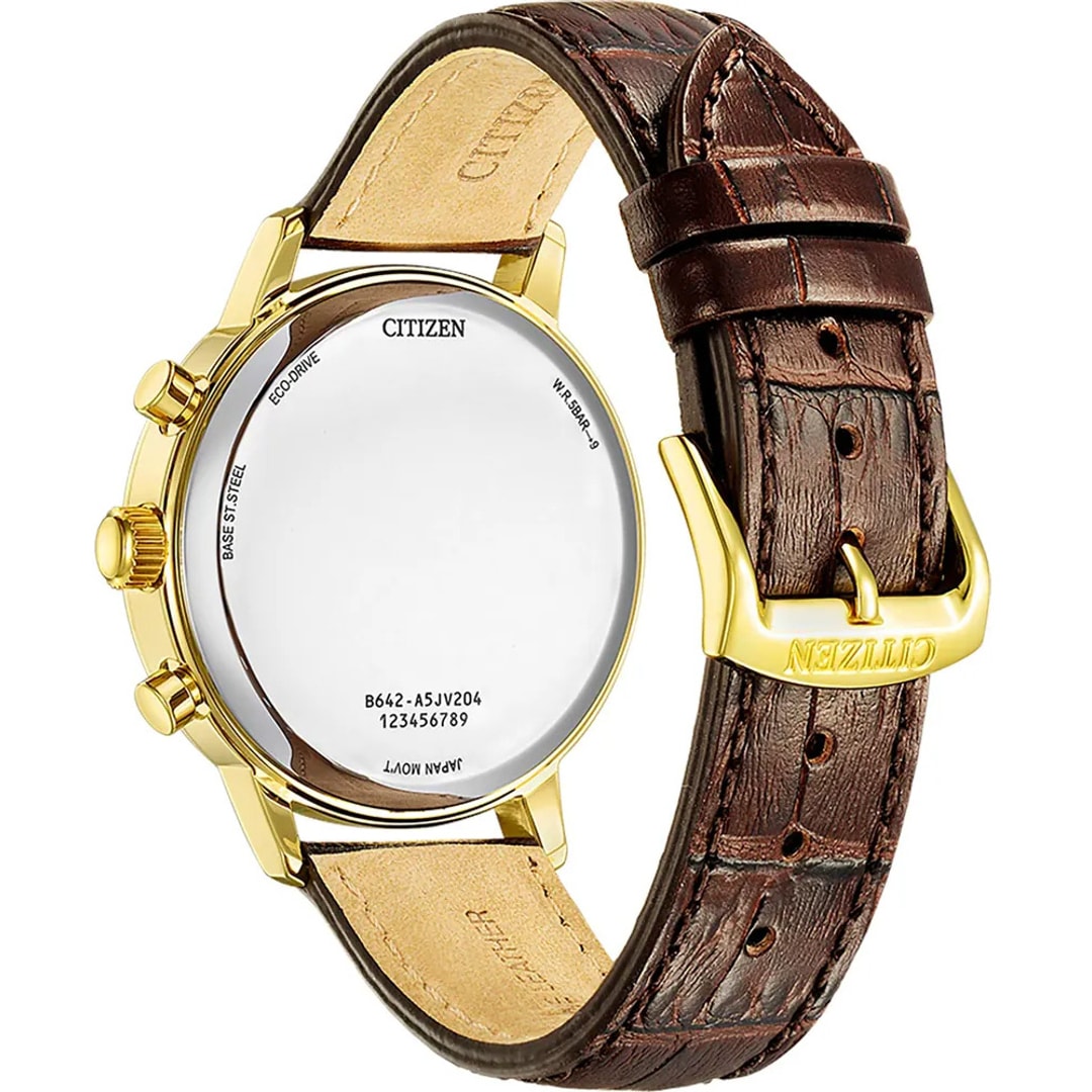 Citizen Elegant Chrono Eco-Drive