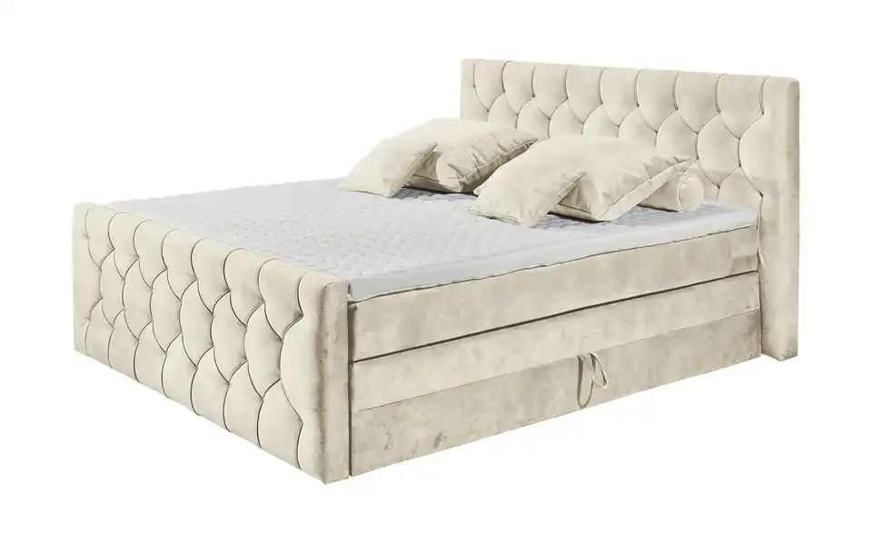 Boxspringbett Cashfield