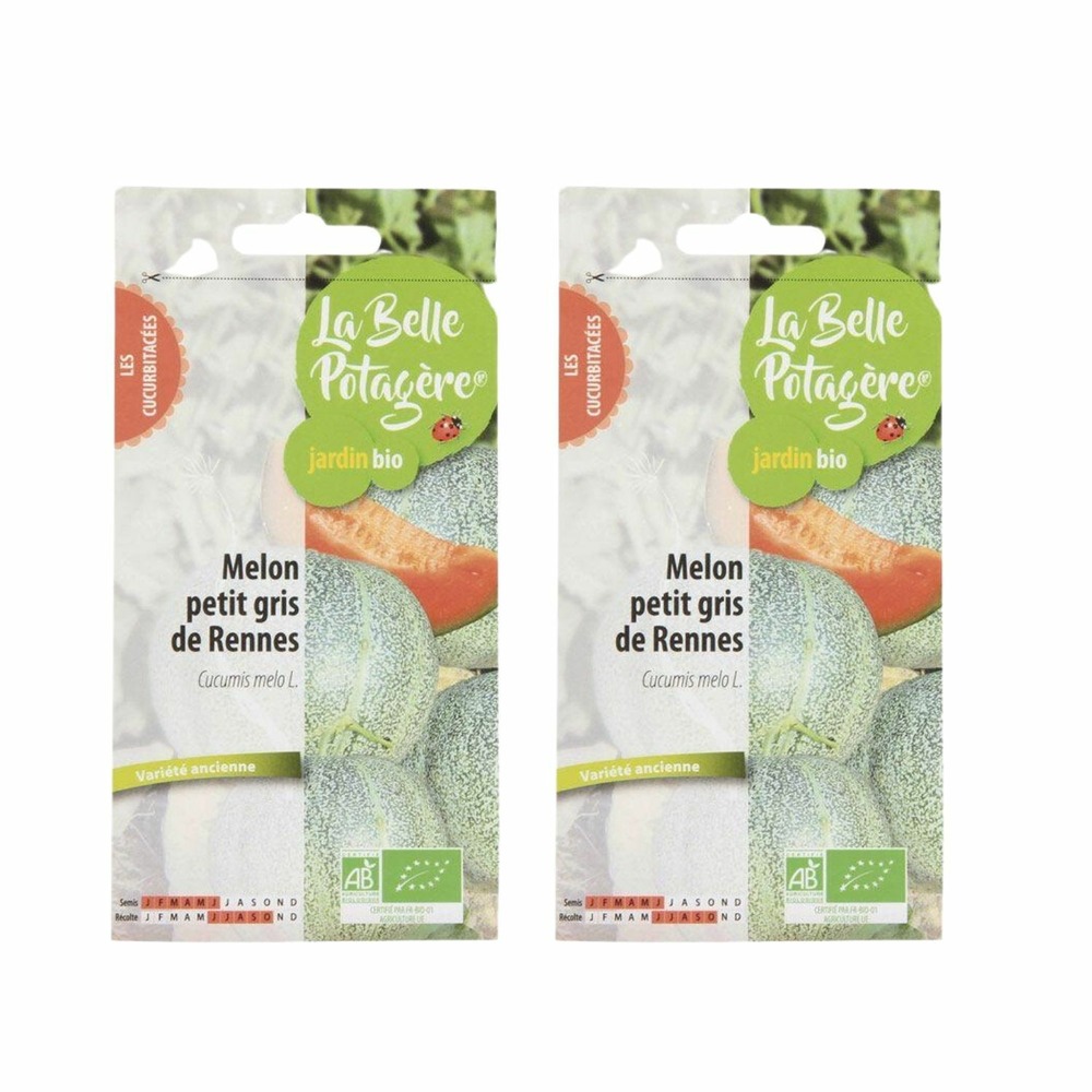 Graines à semer - melon petit gris de rennes - 1,2 g