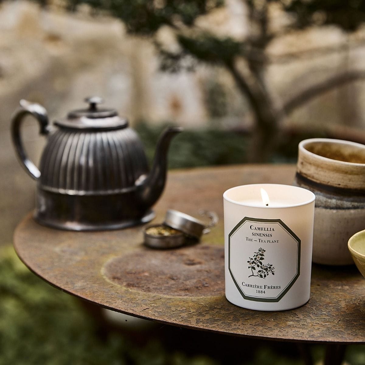 CARRIÈRE FRÈRES Thé - Camelia Sinensis Bougie Parfumée