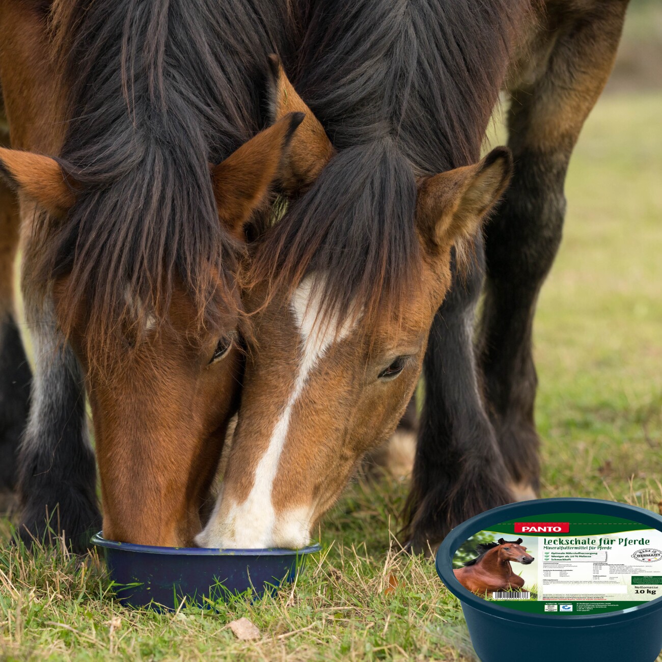 Panto ® MINERALLECKSCHALE FÜR PFERDE 10kg