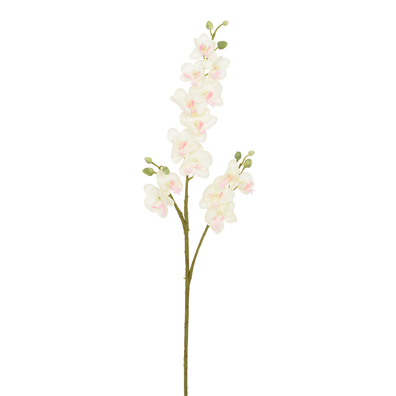 Branche de phaelaenopsis artificielle
