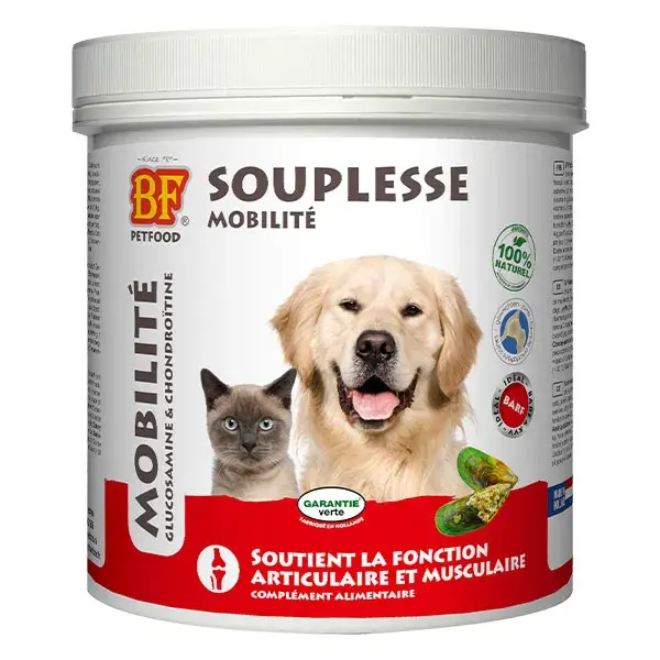 Ração úmida BF Petfood para cães e gatos, 450g