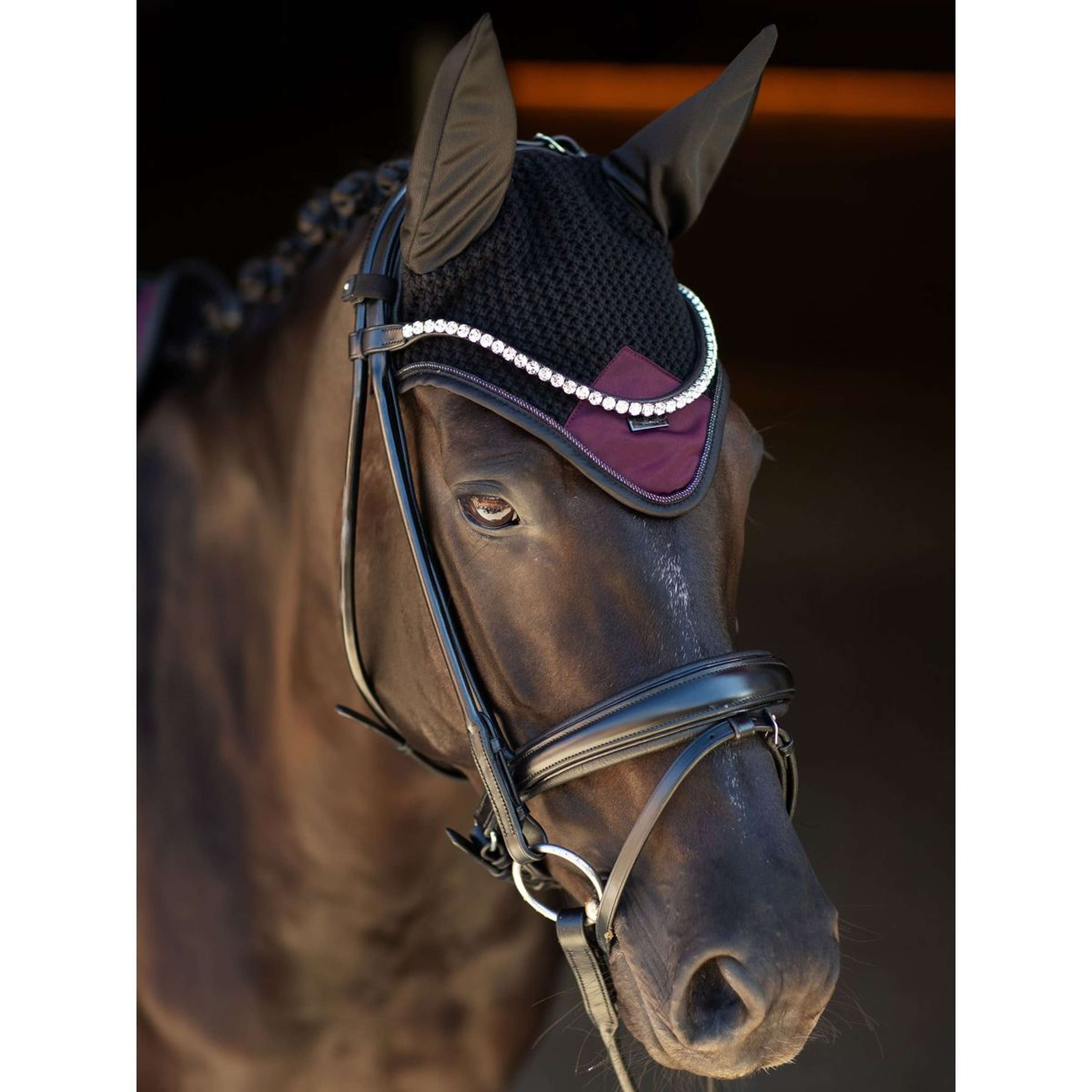 Equestrian Stockholm Oornetje Modern Purple Night