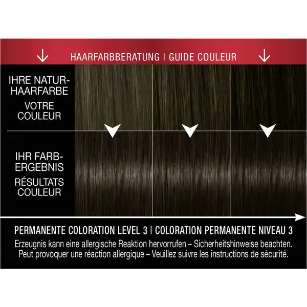 Professional Performance permanente Coloration 3_1 Dunkelbraun
