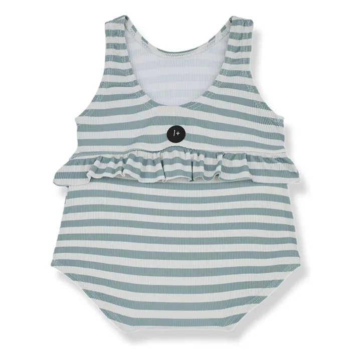 1+ in the family Maillot 1 Pièce Ilaria Rayé | Bleu Vert