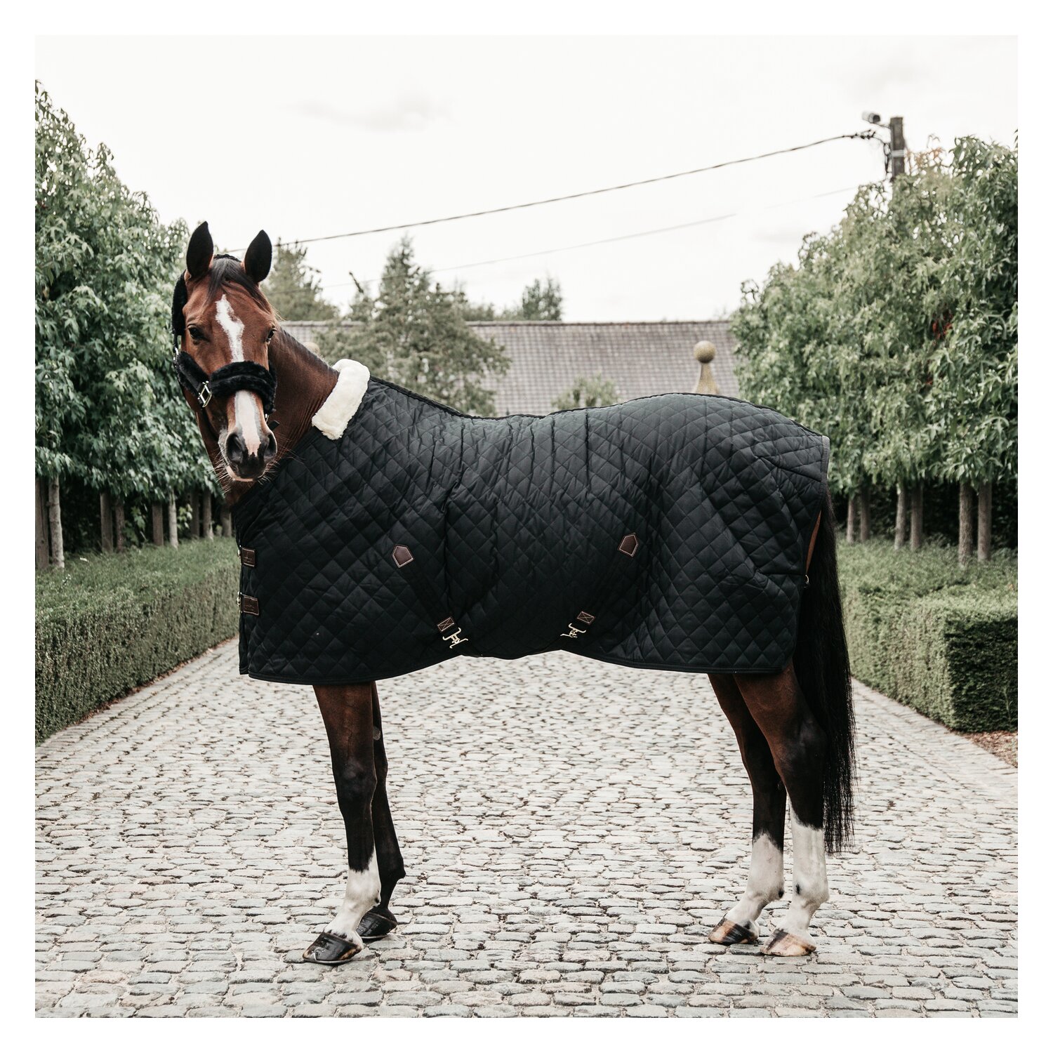 KENTUCKY Stalldecke 400 g - black