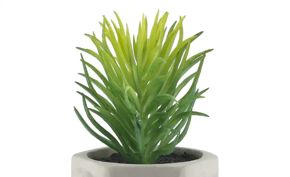 Kunstblume Design I