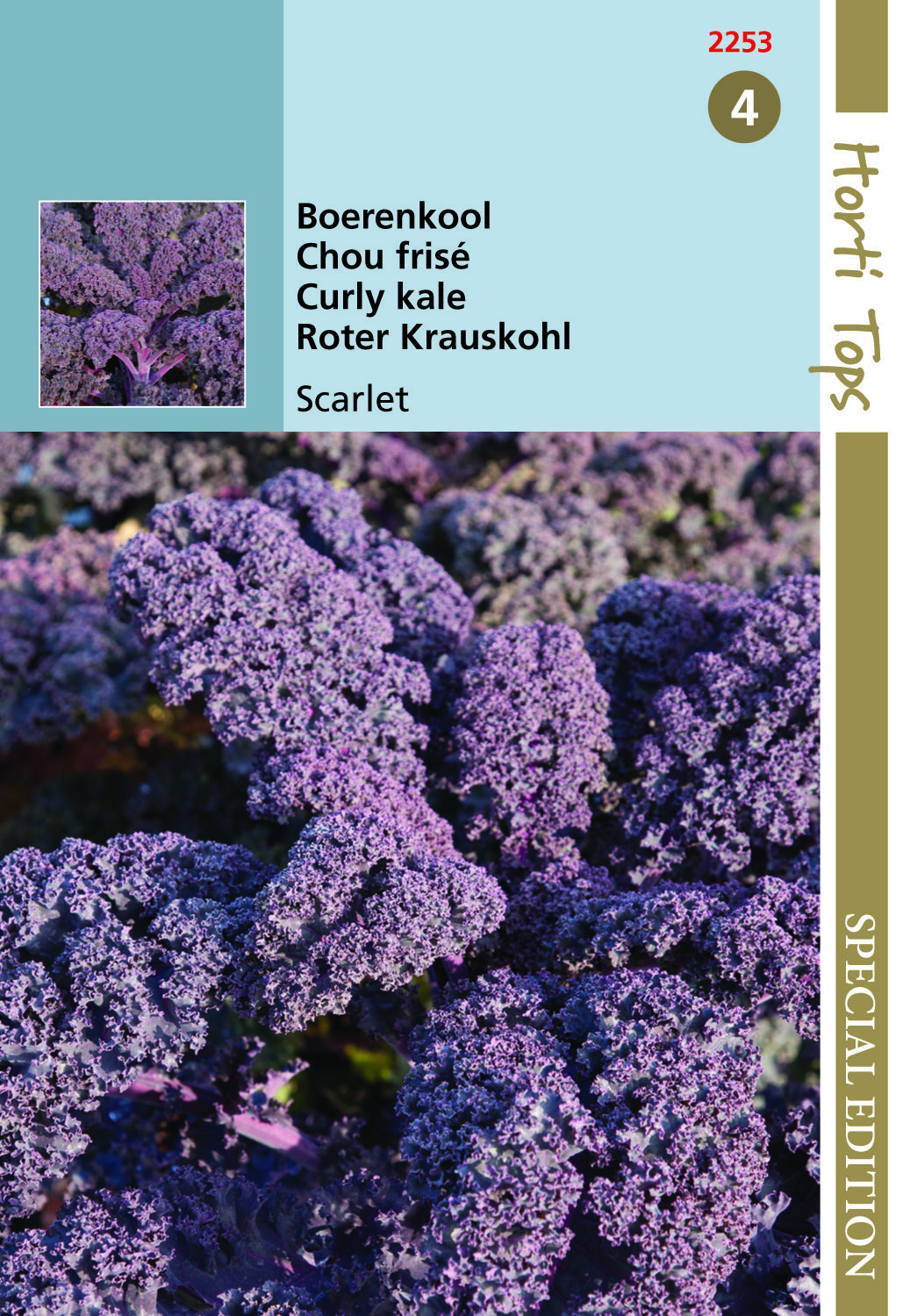 Hortitops Boerenkool Paars Scarlet Brassica oleracea - Groentezaden
