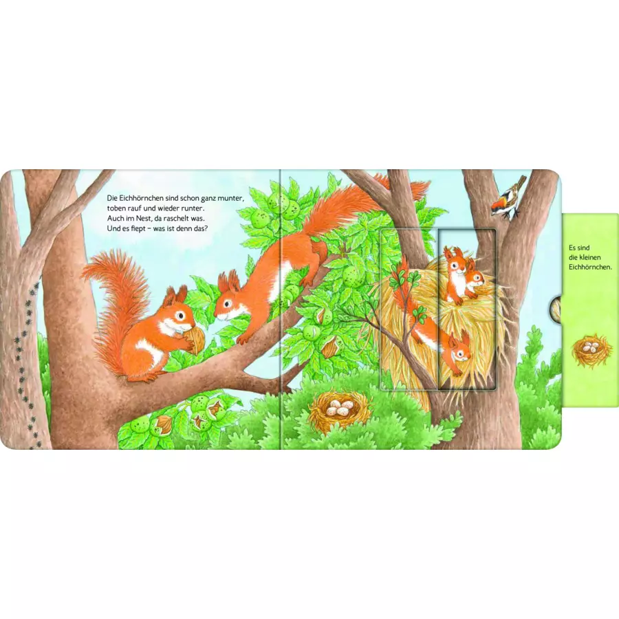 Ravensburger Wer hat sich hier versteckt? Suche die Waldtiere