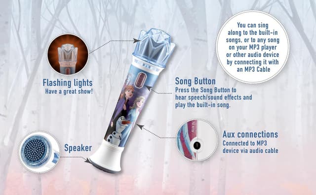 Frost 2 Sing Along Microphone