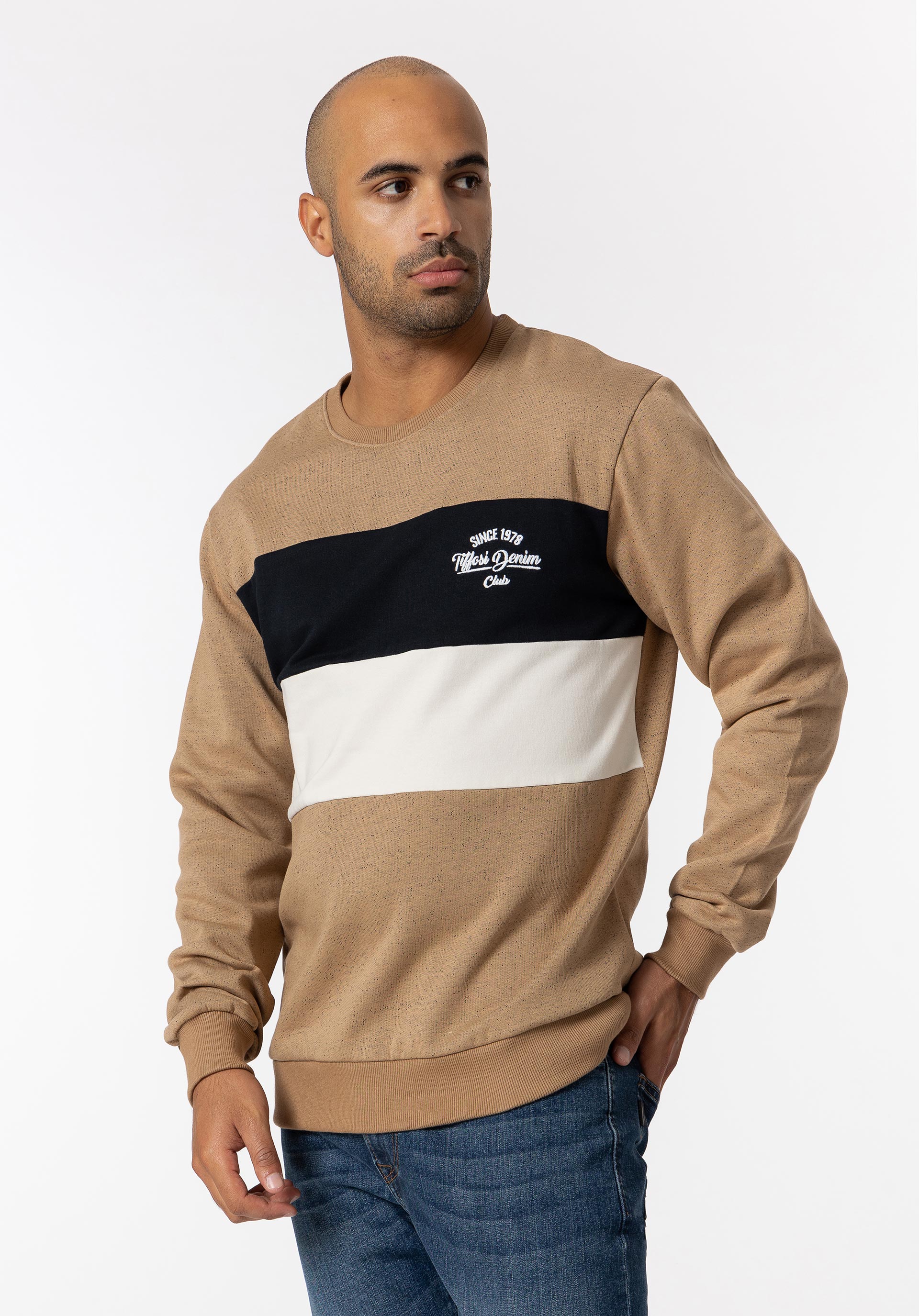 Sweatshirt Tricolor