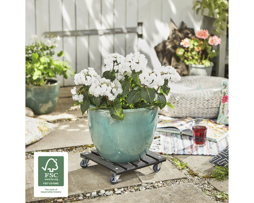 Plantenwagen WPC 29 x 29 cm max. draagvermogen 80 kg antraciet