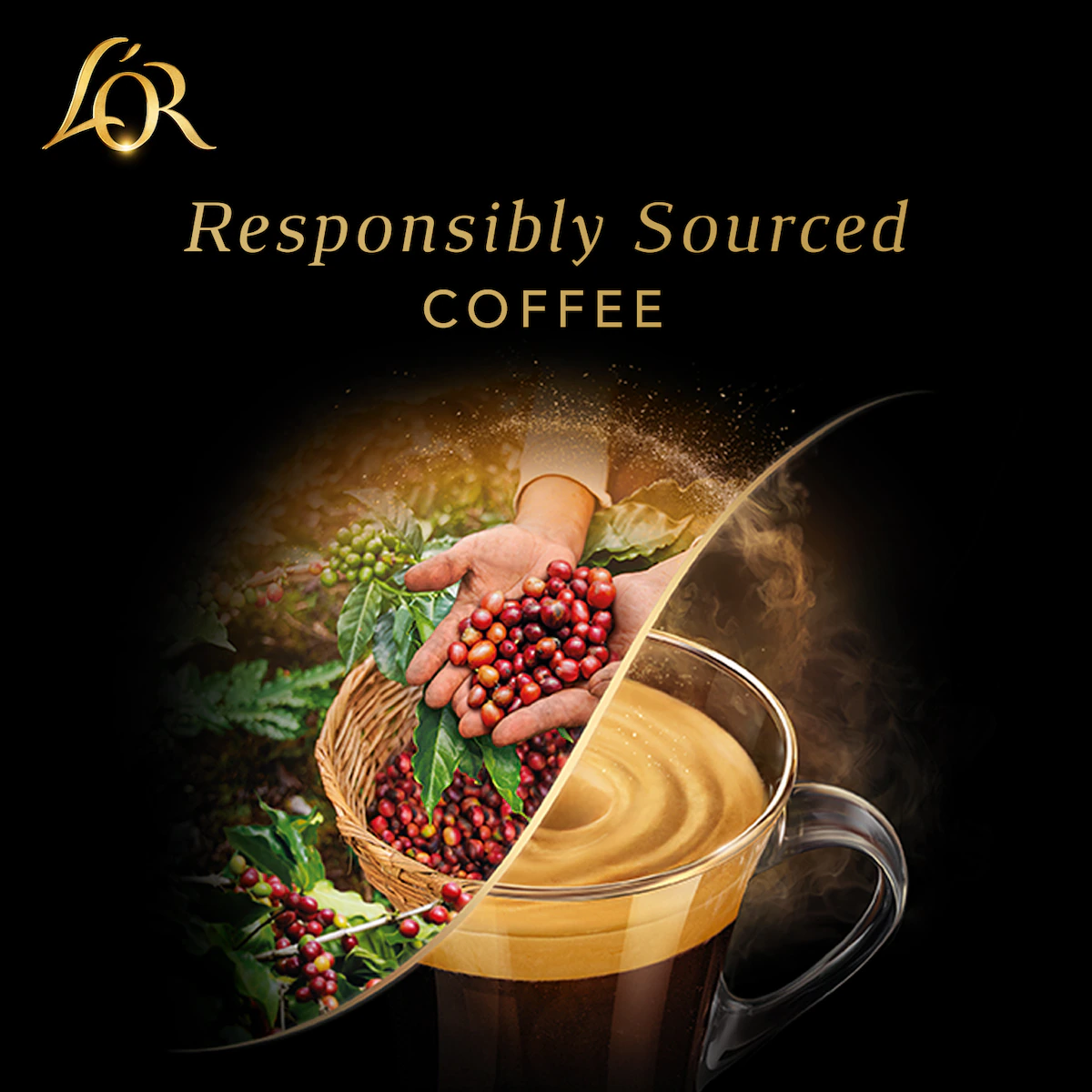 L’Or Barista Extra Long intensitet 8 kaffekapsler (10-pk)