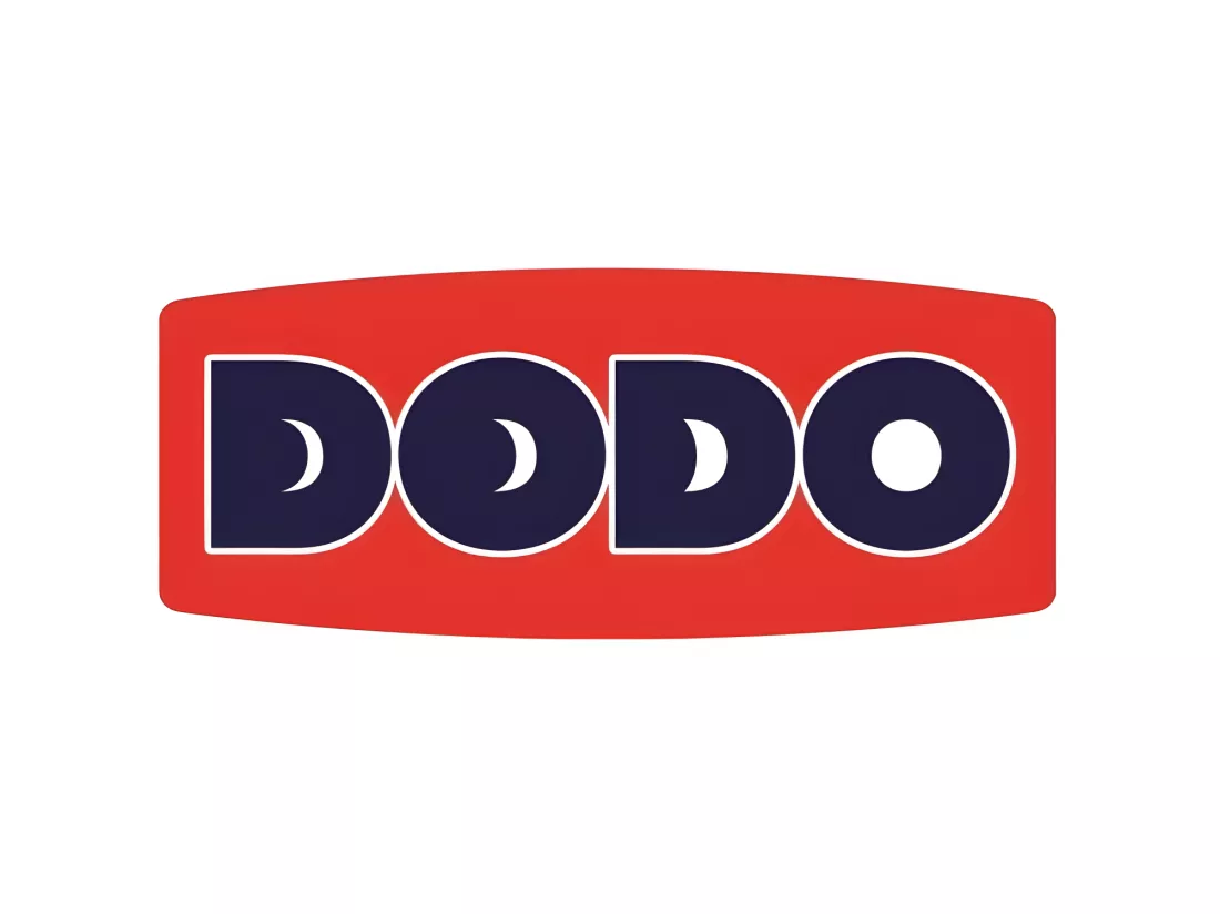 DODO Lot de 2 Oreillers VANCOUVER 60x60cm