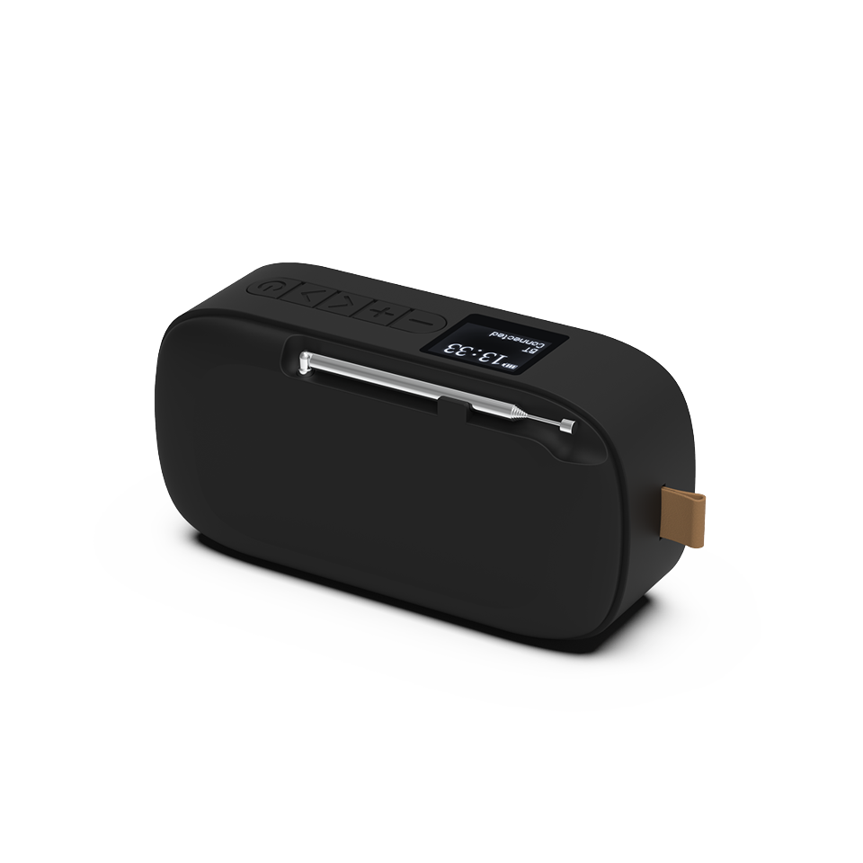 SACKit - Go 300 Transportabel Bluetooth Højtaler & Radio