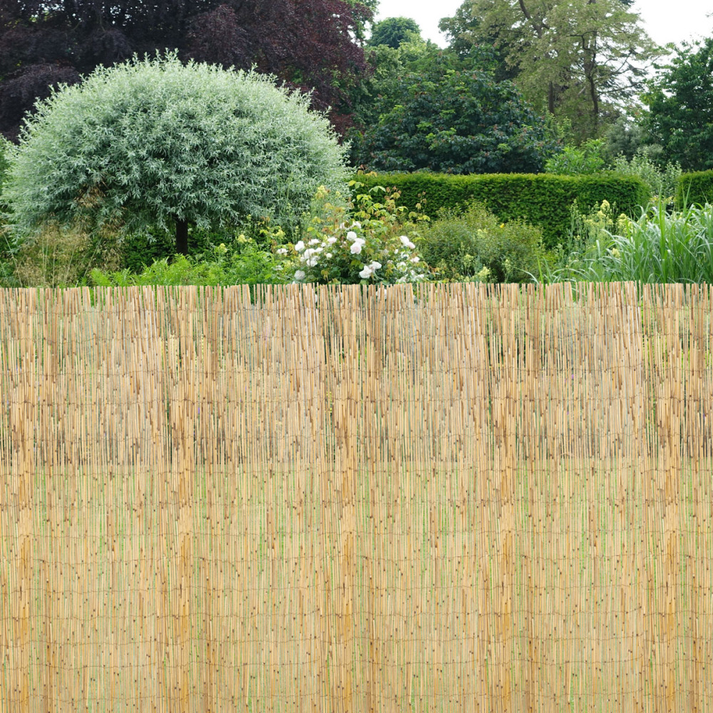Canisse en roseau 1 x 5 m