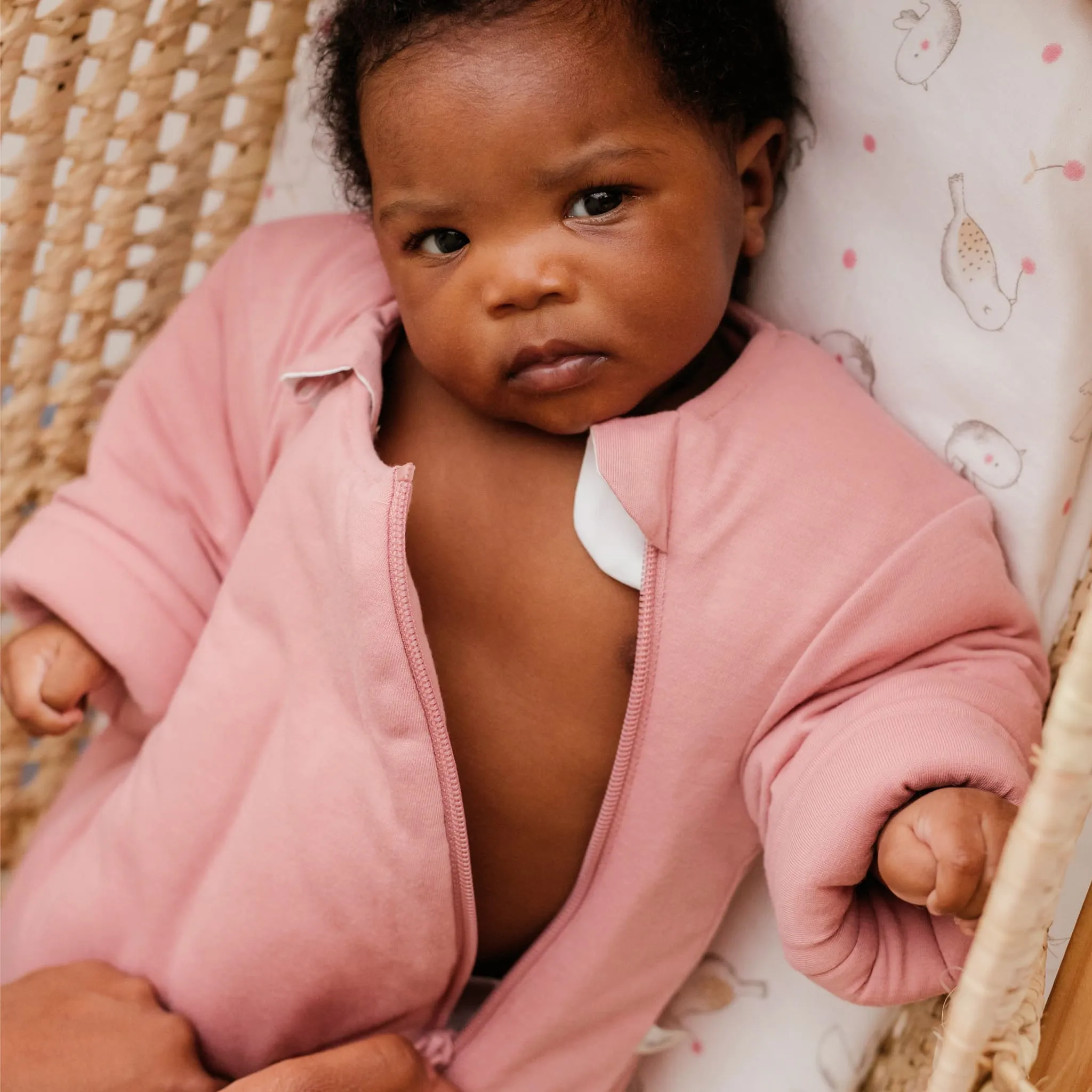 Perlimpinpin Combi-Dodo pour bébé 3-6mois