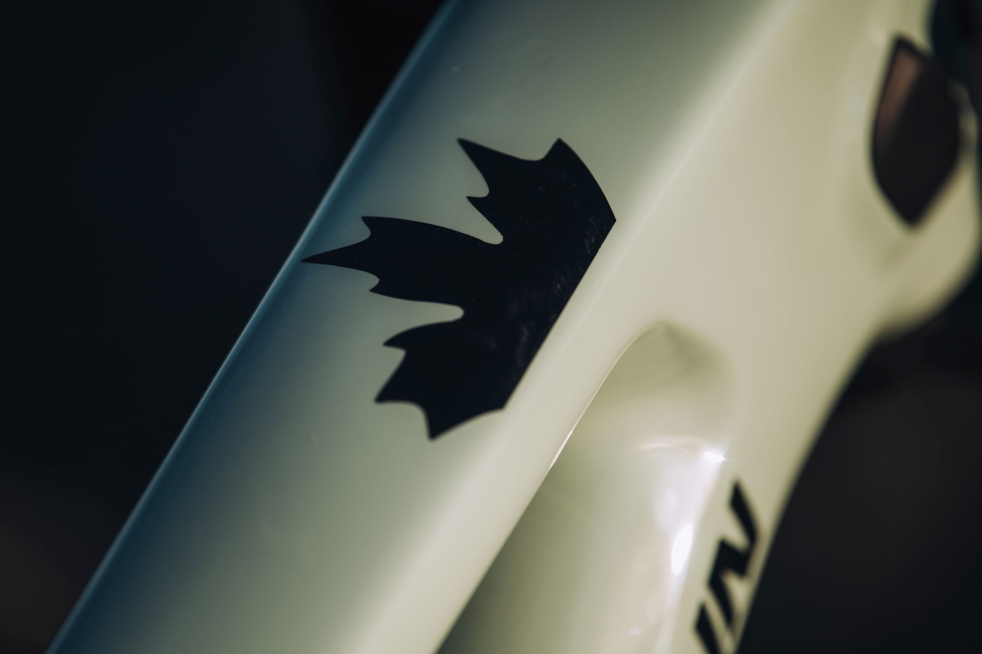 Rocky Mountain Slayer Carbon 50 Mullet