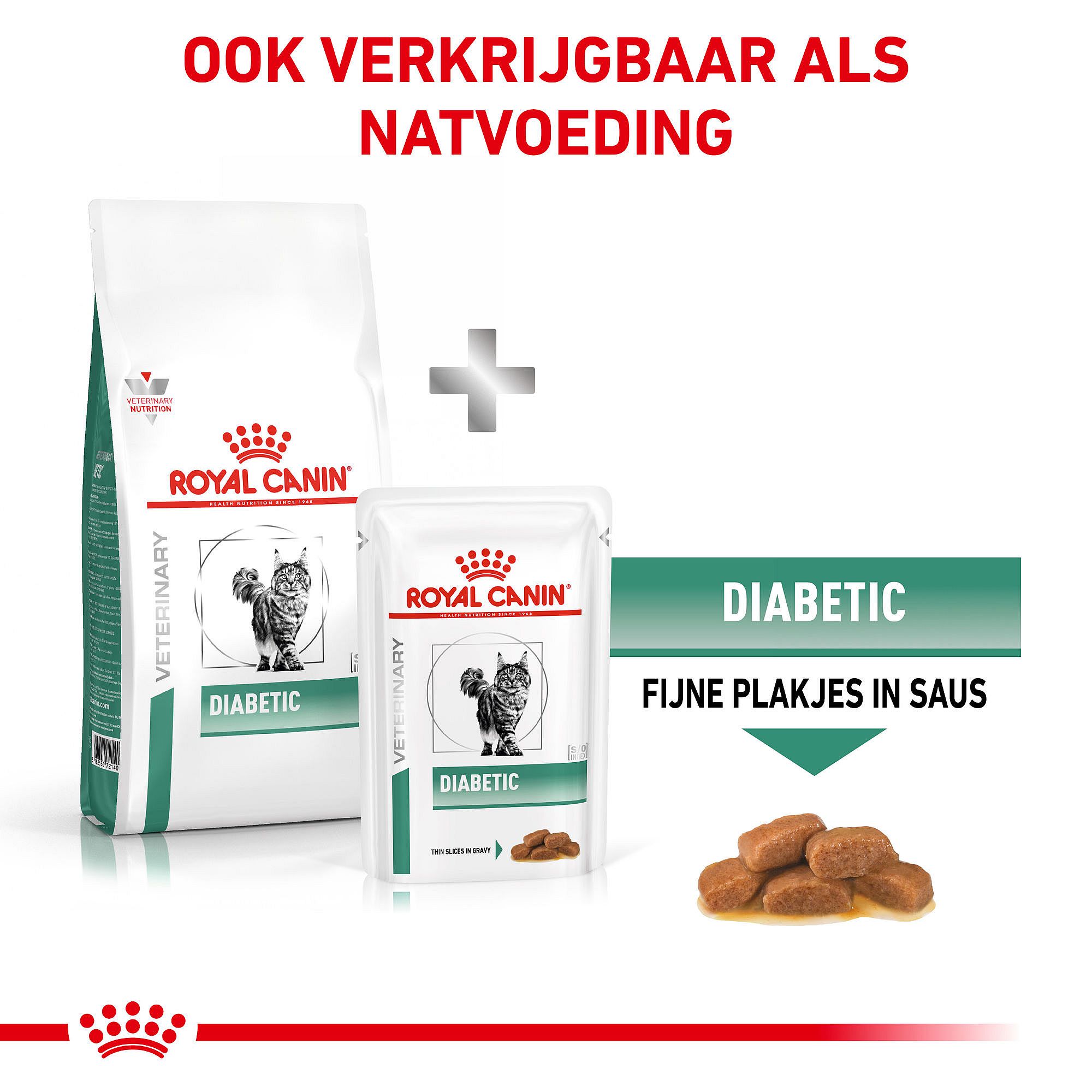 Royal Canin Diabetic kat Kattenvoer voor volwassen katten met suikerziekte