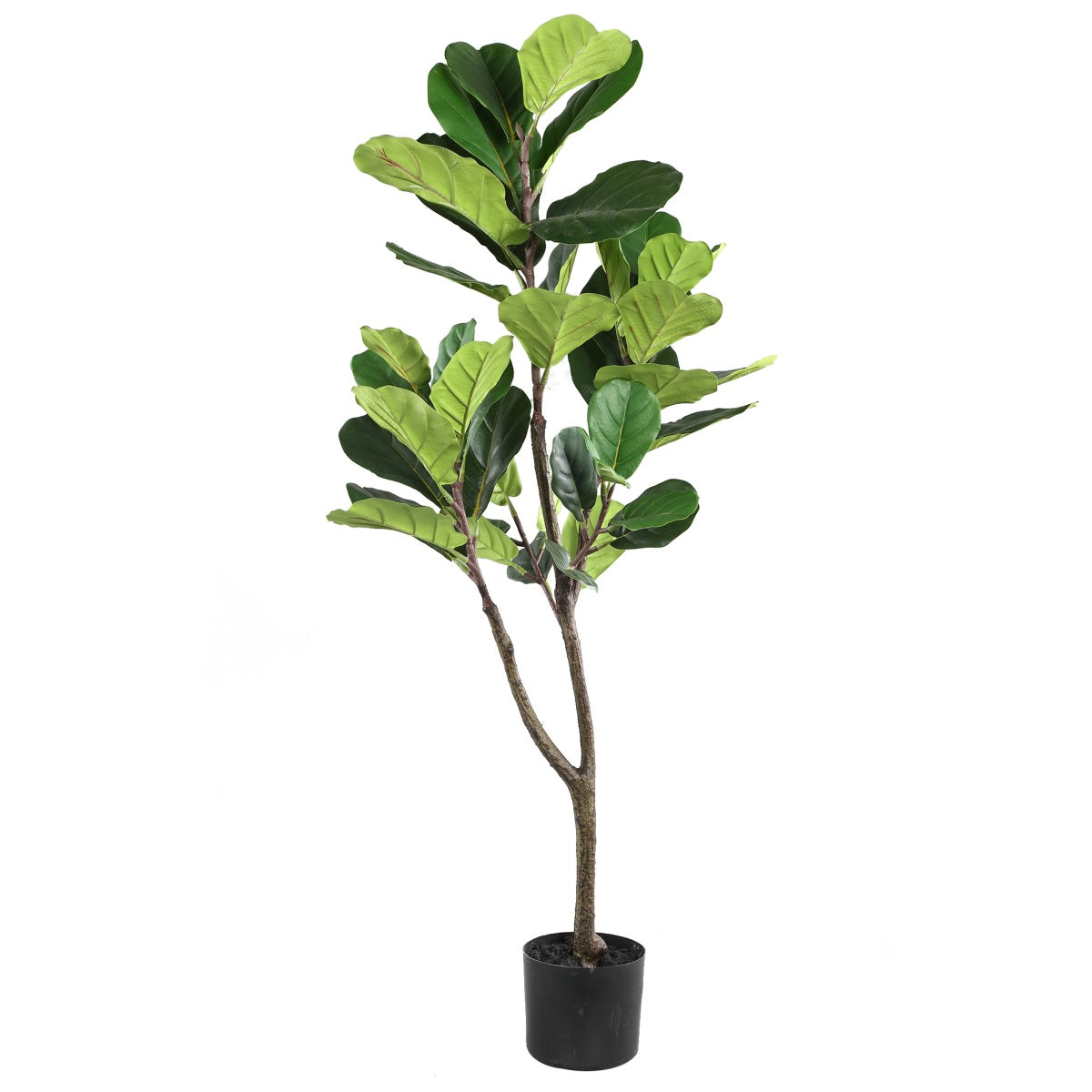 Ptmd plante artificielle vioolblad - 70x45x120 cm - plastique - noir