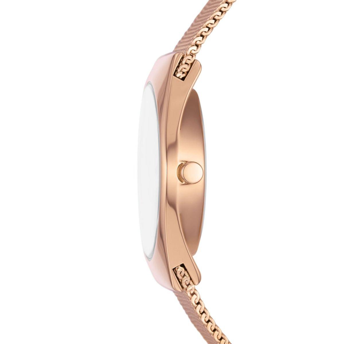 Skagen Ladies Skagen Grenen Lille Solar Watch